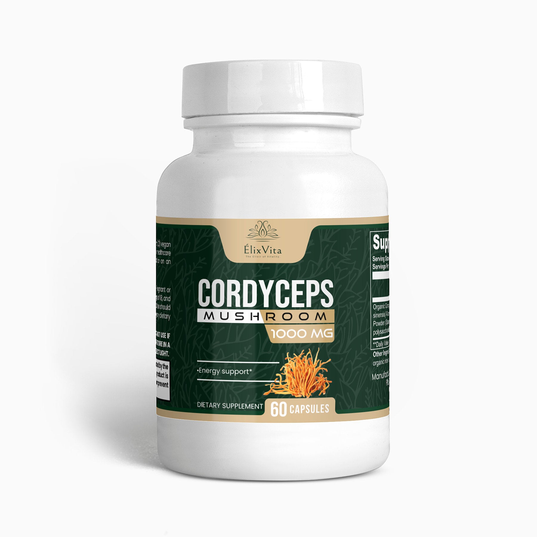 Cordyceps Mushroom