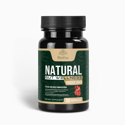 Natural Gut Wellness Capsules